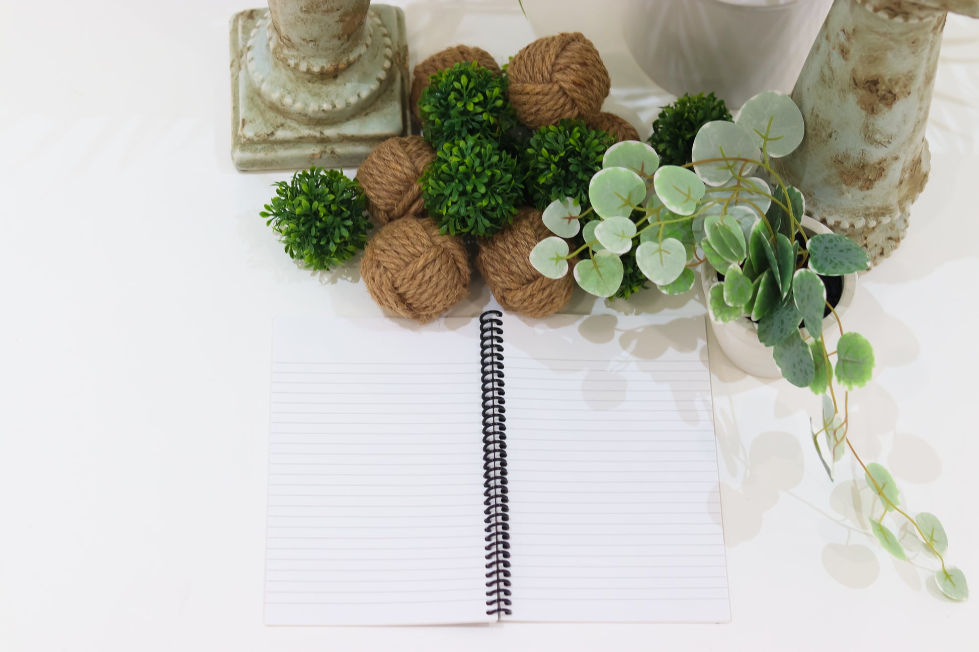 I Was Born A Winner Coiled Notebook – Cherish The Times